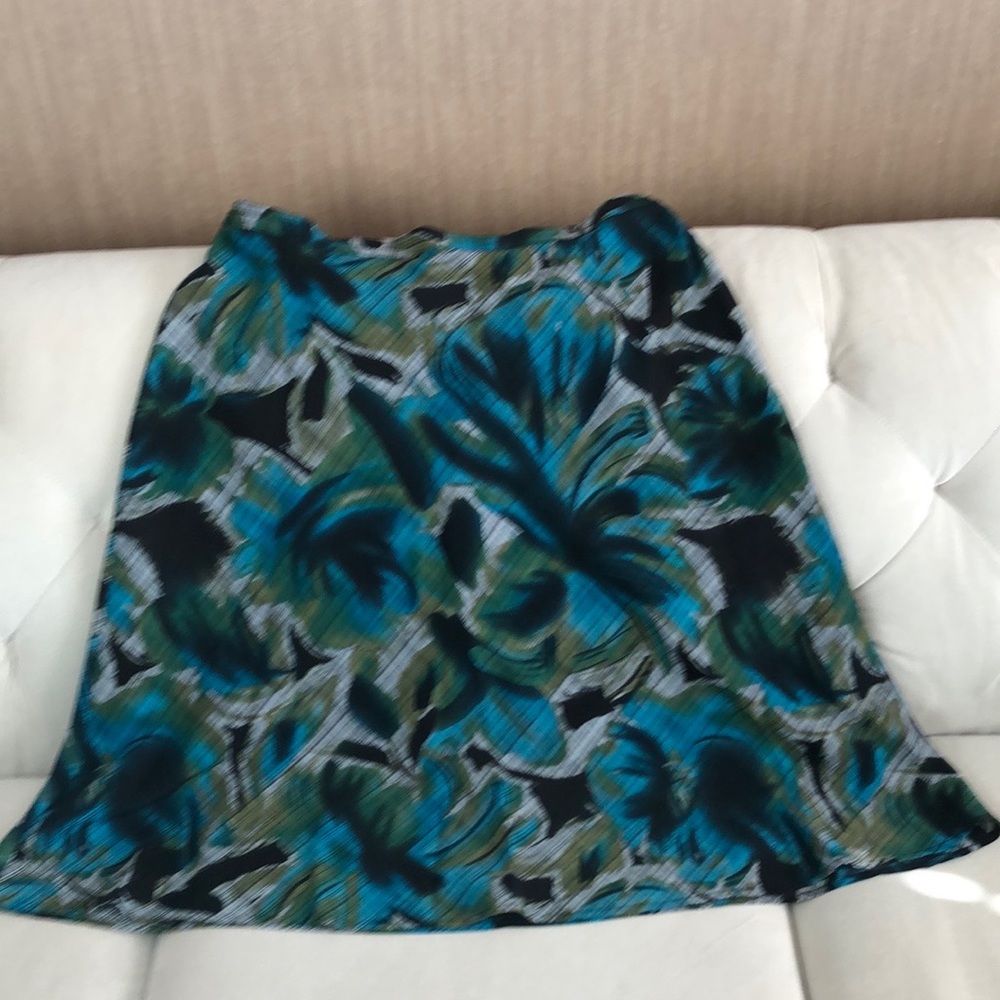 Dress Barn Skirt